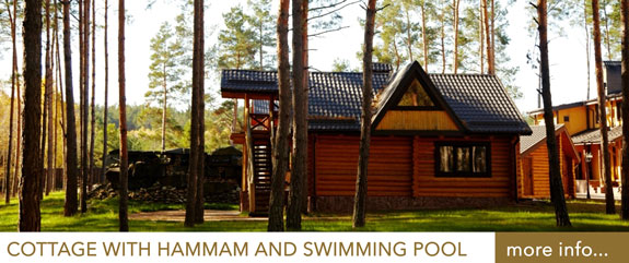 Cottage with hammam and swimming pool