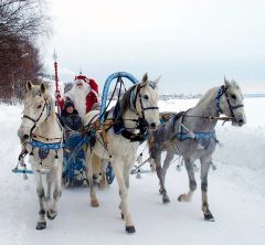 Best New Year transport :-) photo