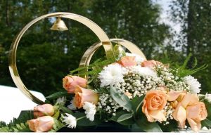 Wedding ceremonies in HRC Tsarevka photo